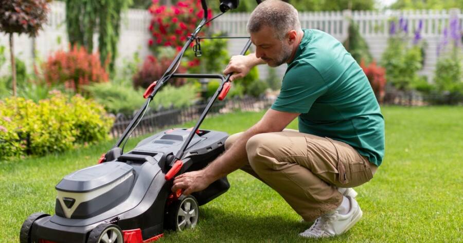 Lawn Care Tools That Deliver Professional Results at Home